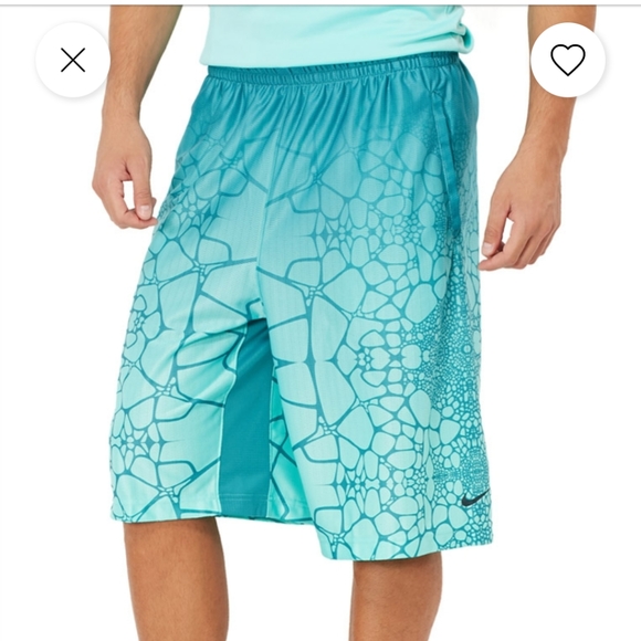 Nike Other - Lebron Nike basketball short, size medium